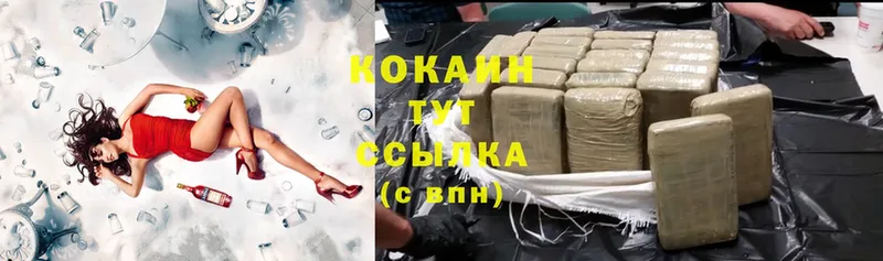 гидра как войти  где продают наркотики  Слюдянка  Cocaine Fish Scale 