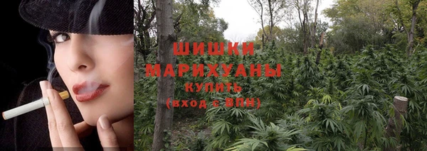 прущие крисы Пролетарск